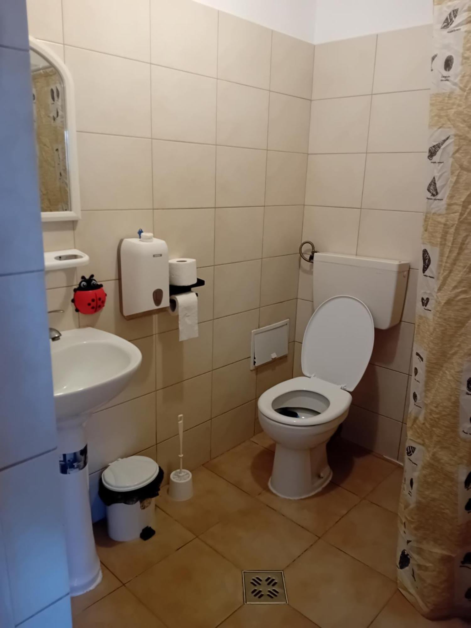 Lebada Neagra Hotel Schitu Eksteriør billede